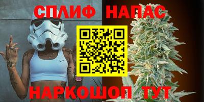 трава Будённовск