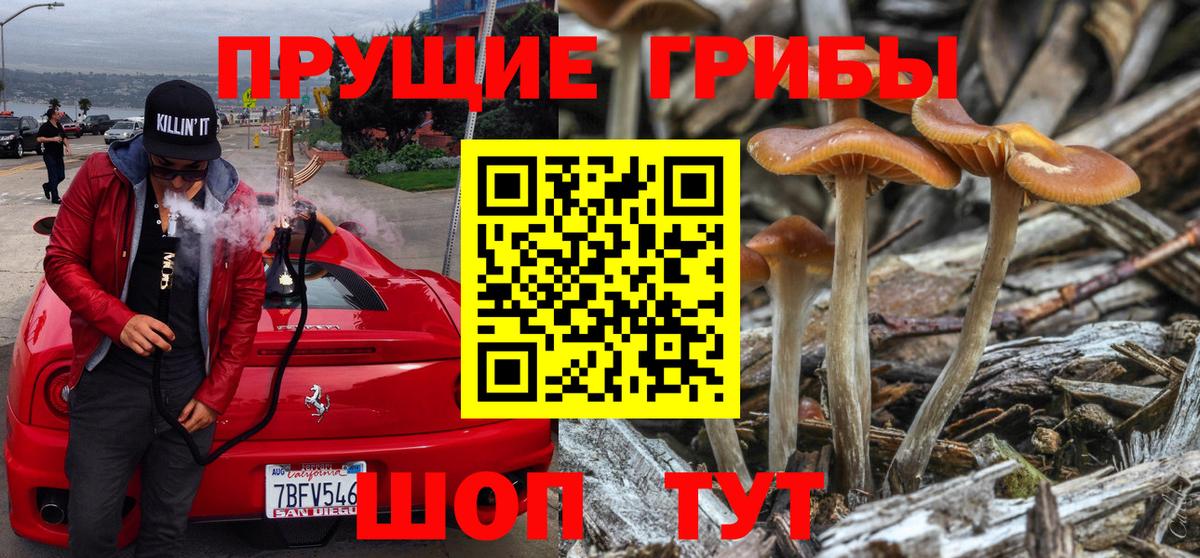 Галлюциногенные грибы ЛСД  Вход с VPN  Менделеевск 